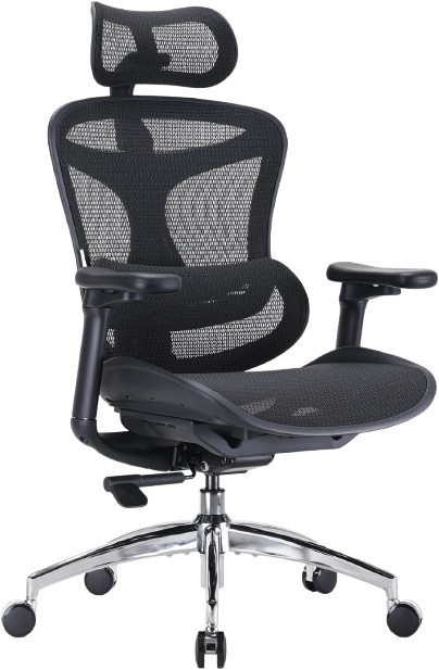 SIHOO Doro C300 Ergonomic Office Chair